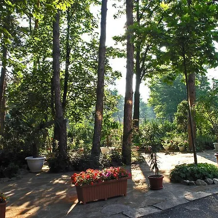 златна котва