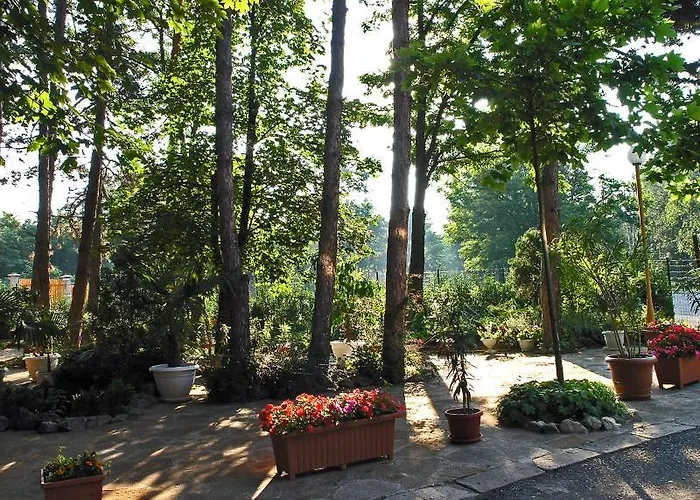 златна котва