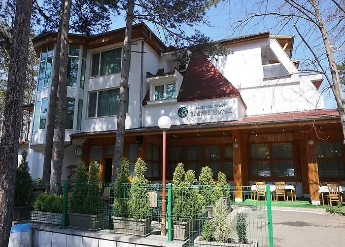 златна котва